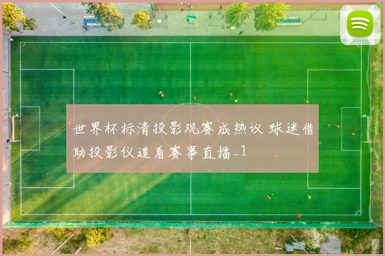 世界杯标清投影观赛成热议 球迷借助投影仪追看赛事直播_1